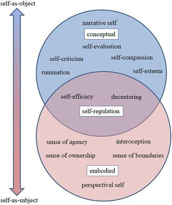 From Self-Esteem to Selflessness: An Evidence (Gap) Map of Self-Related Processes as Mechanisms of Mindfulness-Based Interventions